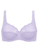 Format Bügel-BH mit elastischer Spitze 